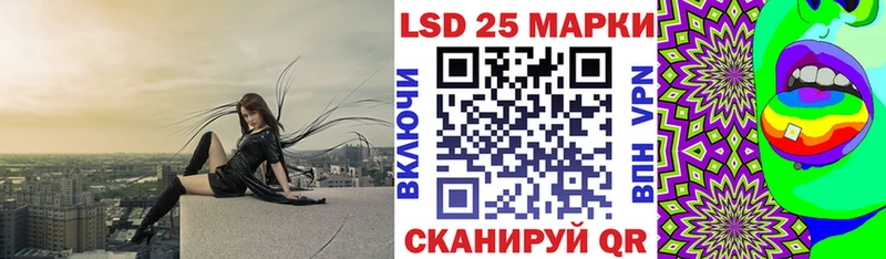 дарнет шоп  Петровск-Забайкальский  Марки NBOMe 1,8мг 