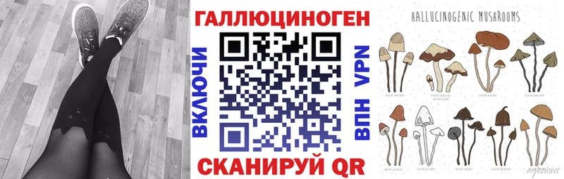 что такое наркотик  Петровск-Забайкальский  Галлюциногенные грибы Cubensis 